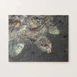 Puzzle de la tortue verte