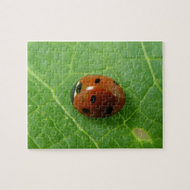 Puzzle de Ladybug (Horizontal)