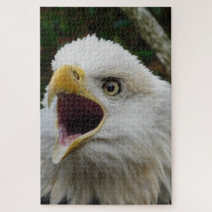 Puzzle de l'aigle