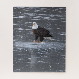 Puzzle de l'aigle des eaux congelées
