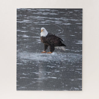 Puzzle de l'aigle des eaux congelées