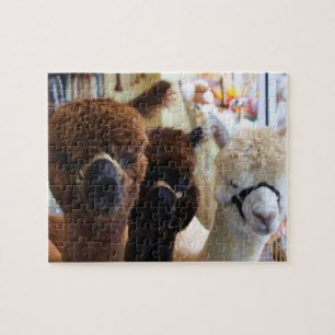 Puzzle de lama