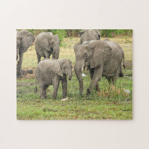 Puzzle de l'éléphant mère et bébé