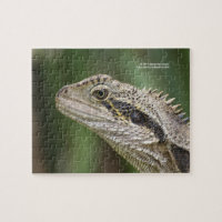 Puzzle de lézard
