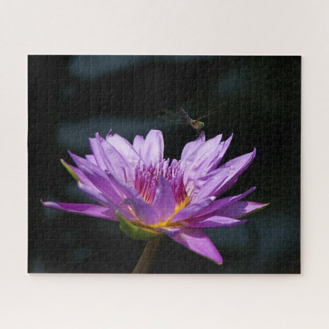 Puzzle de libellule violette Nénuphar (Horizontal)