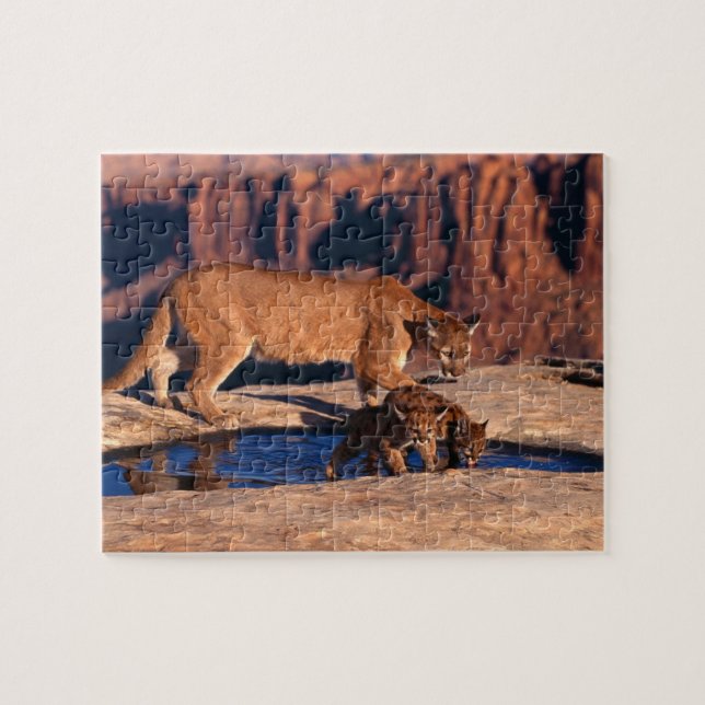 Puzzle de Lion de montagne (Horizontal)