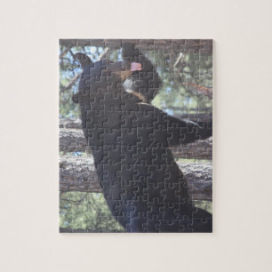 Puzzle de l'ours noir