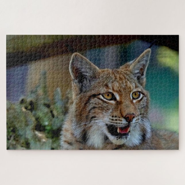 puzzle de lynx (Horizontal)
