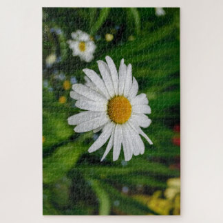 Puzzle de Marguerite avec de l'Eau