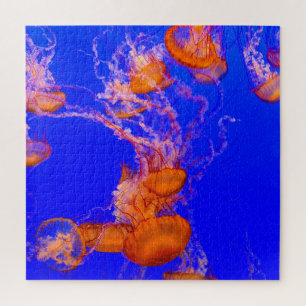 Puzzle de méduse orange   Vie marine de l'océan bl