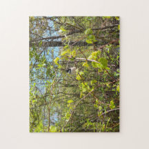 Puzzle de mésange