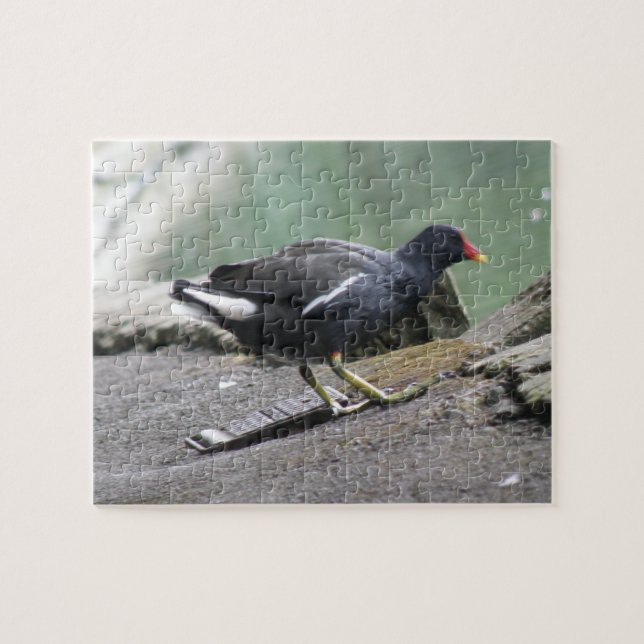 Puzzle de Moorhen (Horizontal)