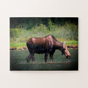 Puzzle de Moose