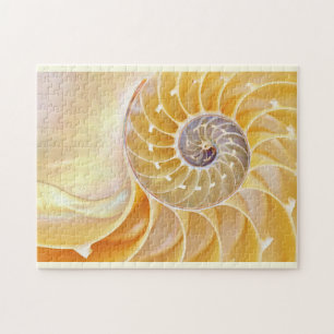Puzzle de Nautilus Seashell