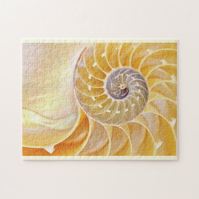 Puzzle de Nautilus Seashell (Horizontal)