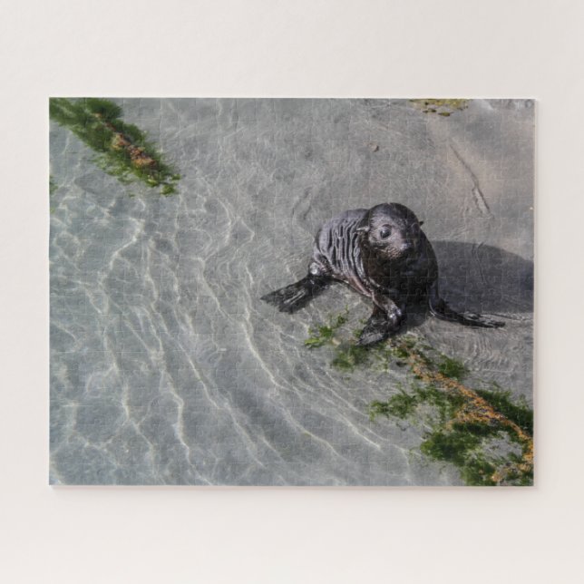 Puzzle de Nouvelle-Zélande - Seal pup Wharariki (Horizontal)