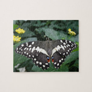 Puzzle de papillon de chaux et de fleurs