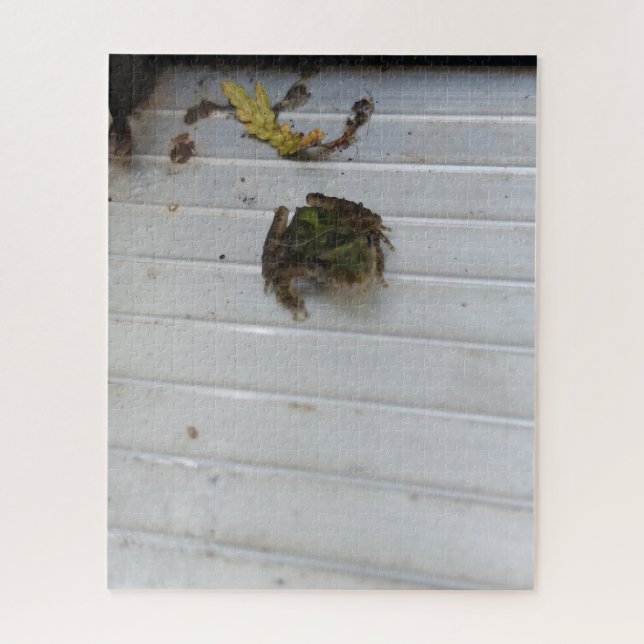 Puzzle de petite grenouille (Vertical)