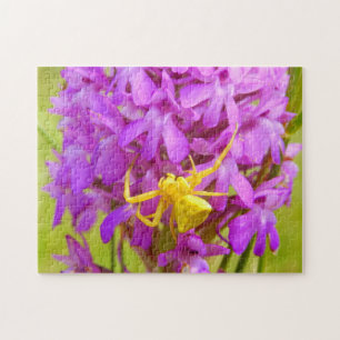 Puzzle de photo d'araignée crabe jaune avec boîte