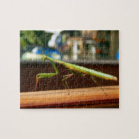 Puzzle de photo de mante de prière avec la