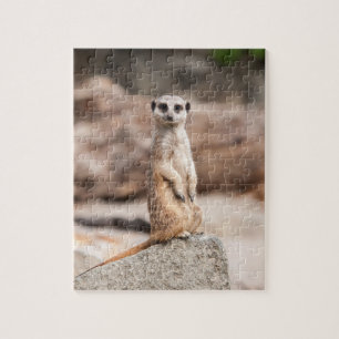 Puzzle de photo de Meerkat