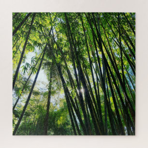 Puzzle de photo feuillage vert jungle bambou