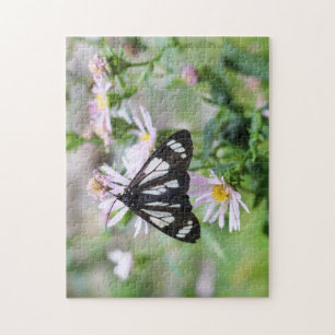 Puzzle de photographie de papillon