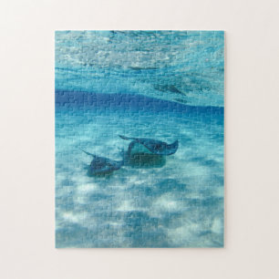 Puzzle de photos de la mer Bleue de l'océan Sting