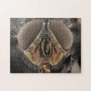 Puzzle de photos d'insectes de proximité des yeux
