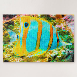 Puzzle de poisson tropical
