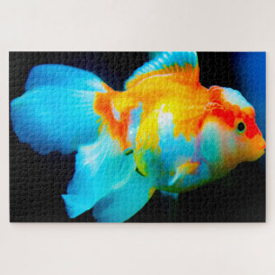 Puzzle de poissons tropicaux