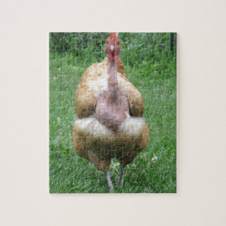 Puzzle de poule de Turken