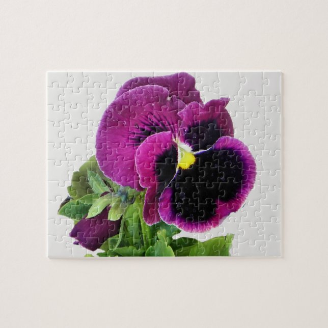 puzzle de purple (Horizontal)