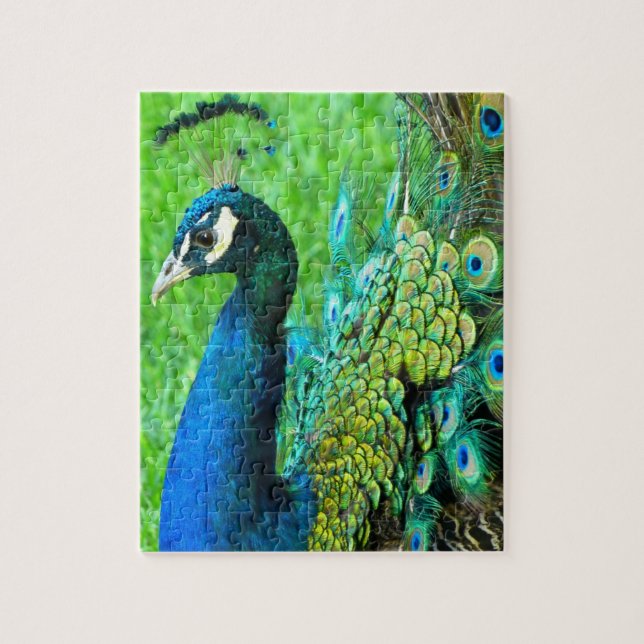 Puzzle de rayonnement de paon (Vertical)
