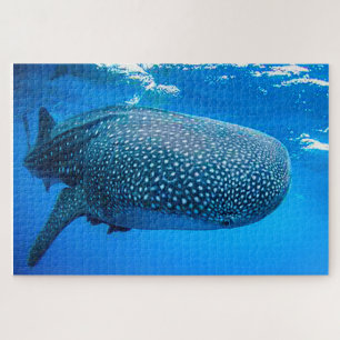 Puzzle de Requins Baleines