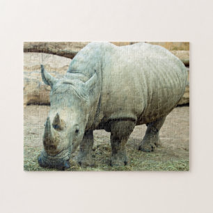 Puzzle de Rhinoceros