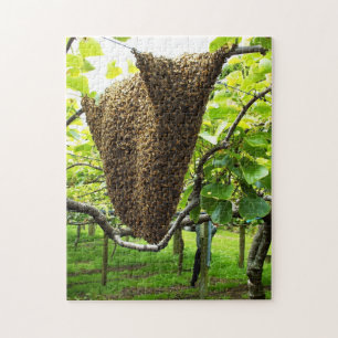 Puzzle de ruche d'abeille de kiwi