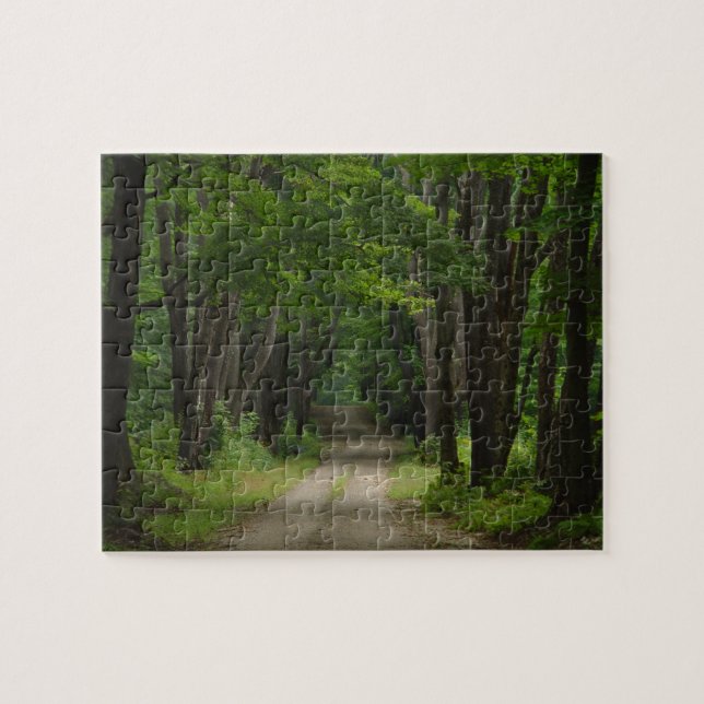 Puzzle de ruelle d'été (Horizontal)