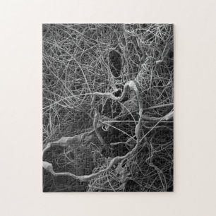 Puzzle de sac à oeufs d'araignée