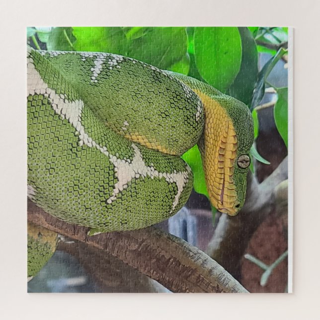 Puzzle de serpent (Vertical)