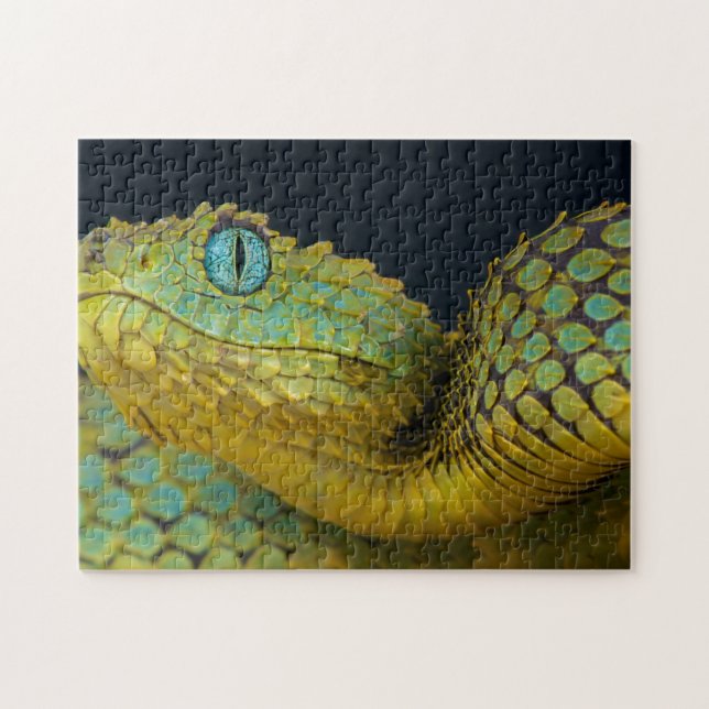 Puzzle de serpent - Beau vert (Horizontal)