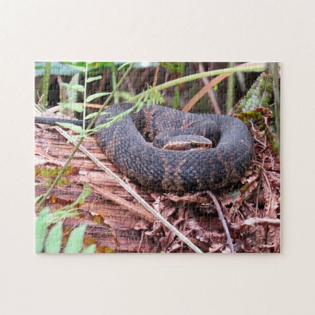 Puzzle de serpent de Cottonmouth (Horizontal)