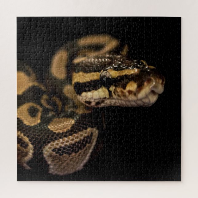 Puzzle de serpent extrêmement difficile (Vertical)