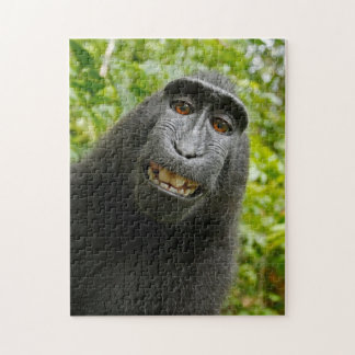 Puzzle de singe