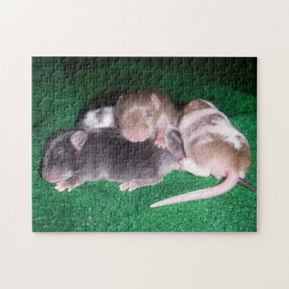Puzzle de souris : 4 souris de bébé