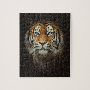 Puzzle de tigre aux yeux bleus