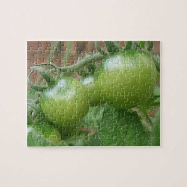 Puzzle de tomates vertes (Horizontal)