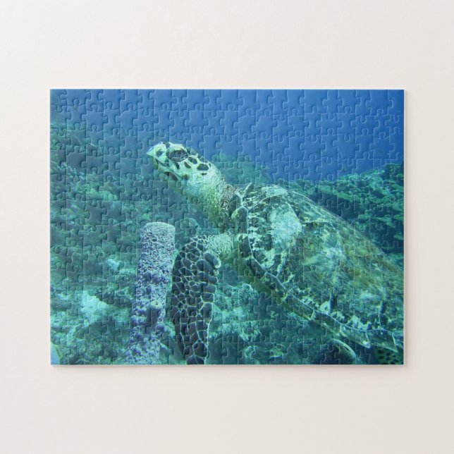 Puzzle de tortue de mer (Horizontal)