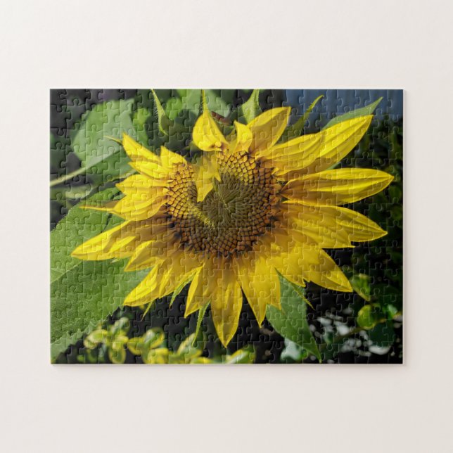 Puzzle de tournesol (Horizontal)