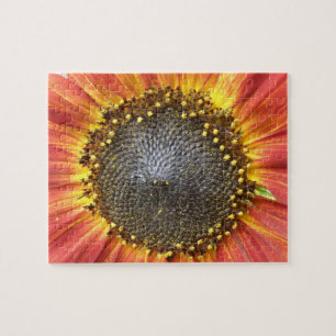 Puzzle de tournesol rouge et jaune